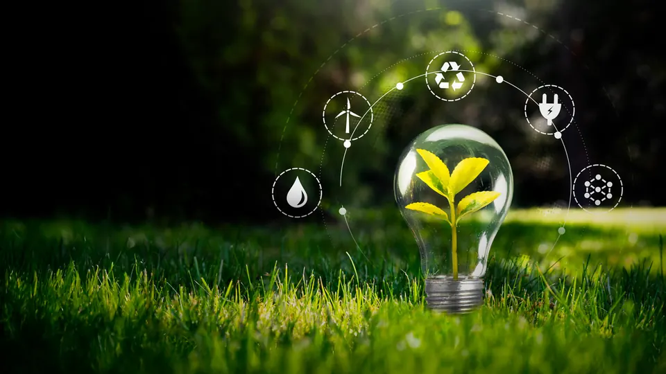 Plantă tânără într-un bec – simbolul energiei curate